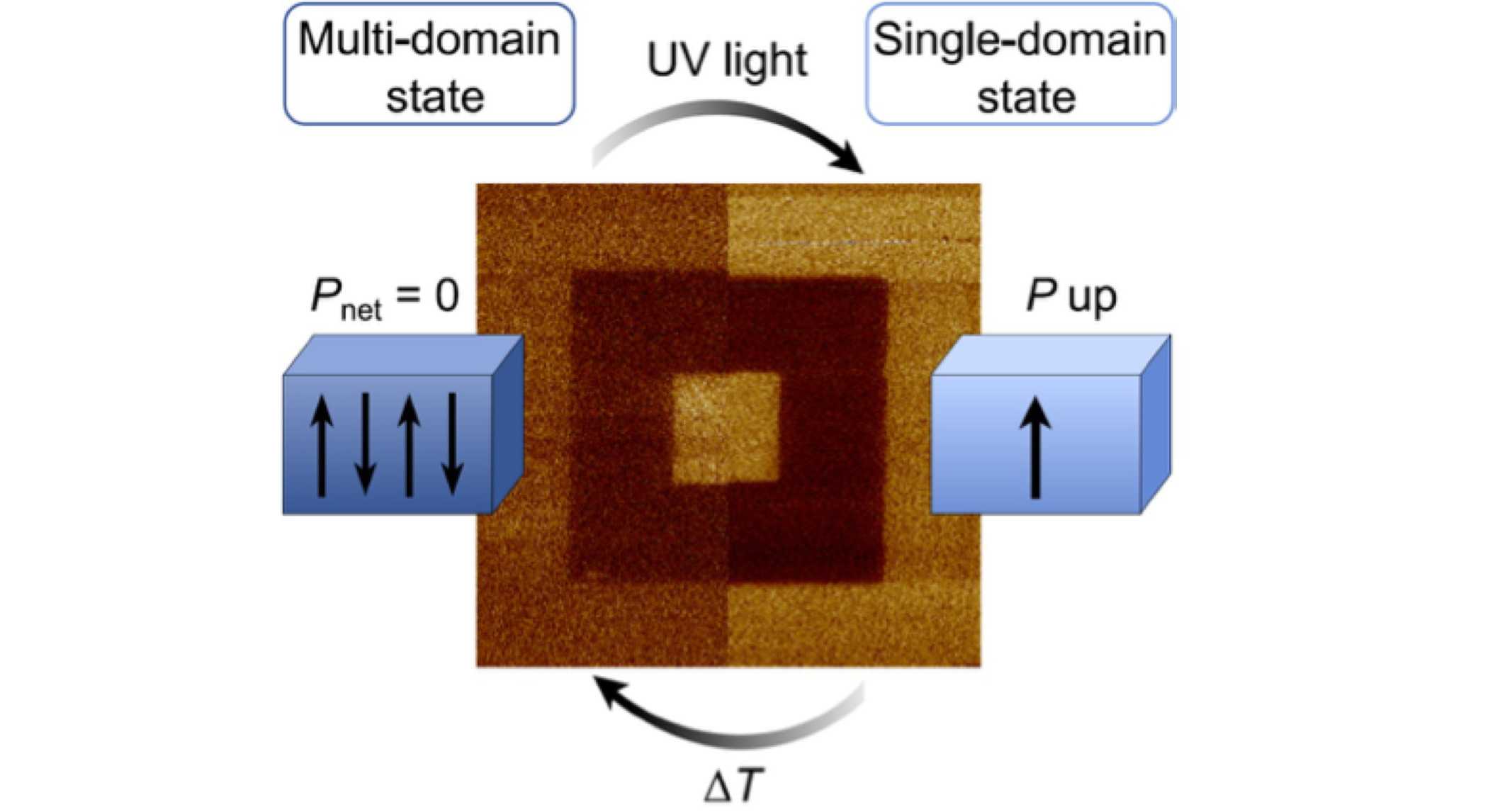 demonstration of the reversible transition from a fully depolarized state to a fully polarized state